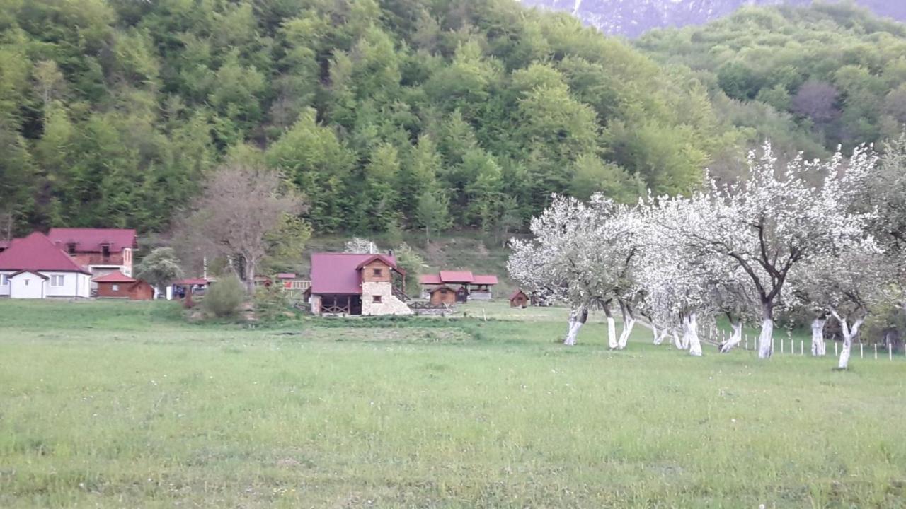 Hotel Camp Šcepanovic Mojkovac Exterior foto